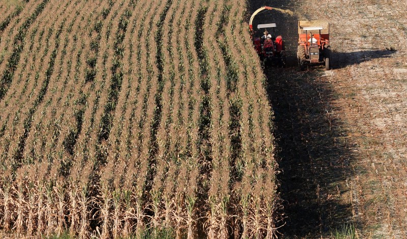 粮食滞乌长达数月 全球最大小麦进口国：不要了…
